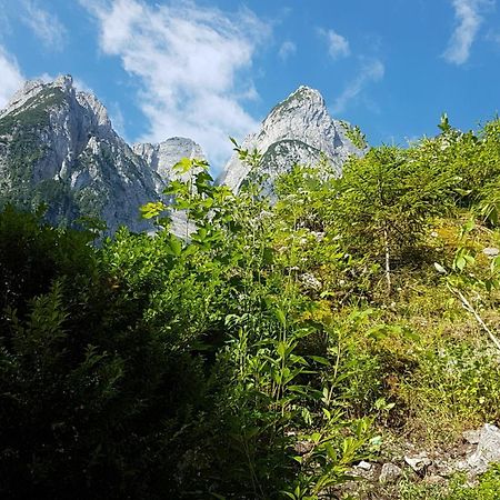 Gasthof Gosausee Exteriér fotografie